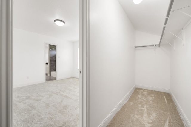 spacious closet featuring light carpet