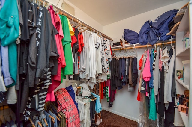 spacious closet featuring carpet