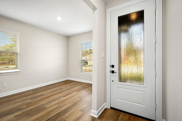 doorway featuring wood-type flooring