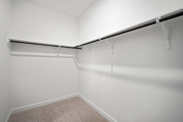 spacious closet featuring carpet flooring