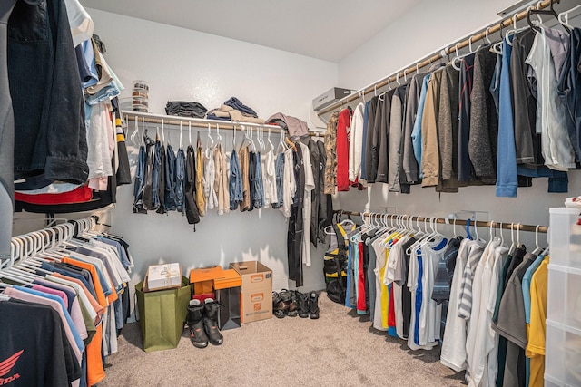 walk in closet with carpet floors