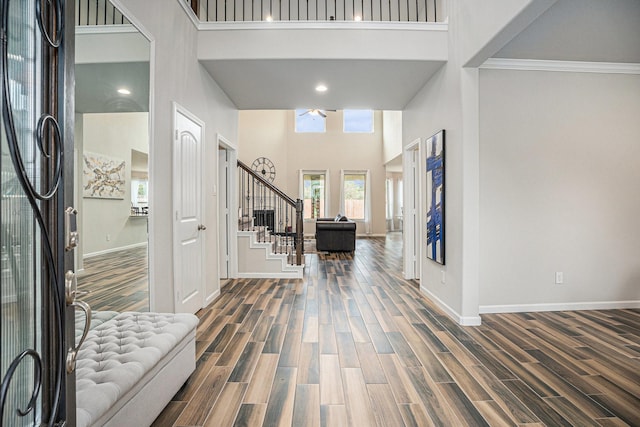 entryway featuring dark hardwood / wood-style flooring, a high ceiling, and ornamental molding