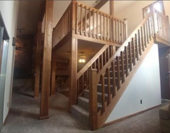 stairs with carpet floors