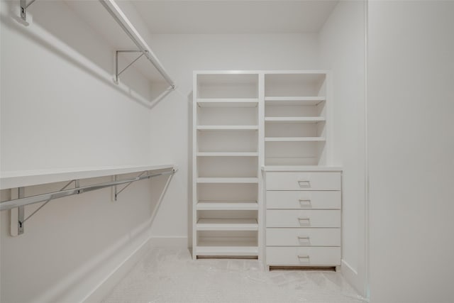 spacious closet with light colored carpet