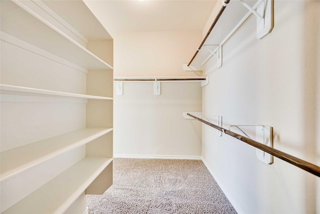 walk in closet with carpet