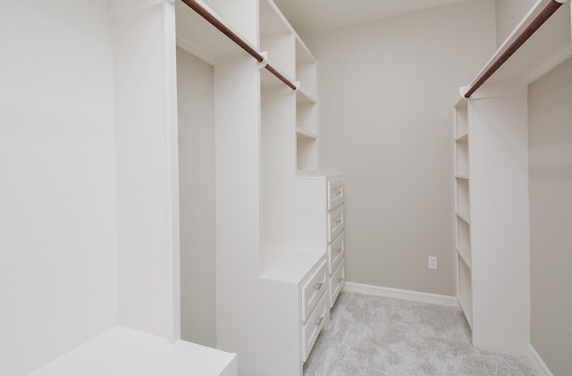 spacious closet with light colored carpet