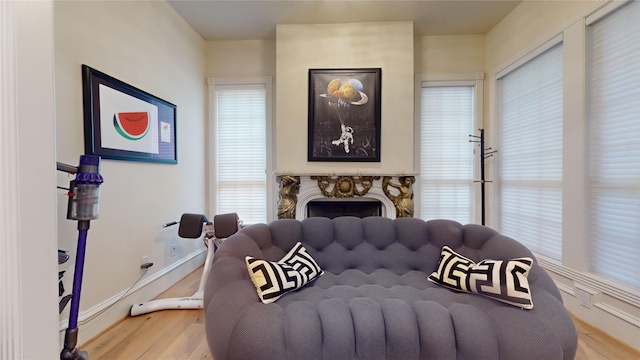 bedroom featuring multiple windows and wood-type flooring