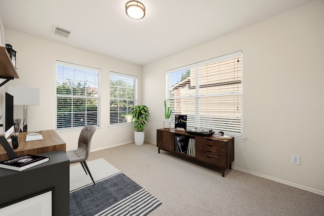 office area featuring light carpet