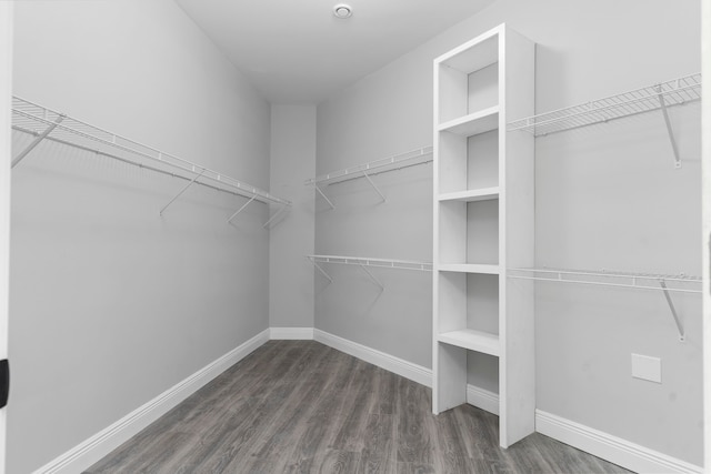 spacious closet featuring dark hardwood / wood-style flooring