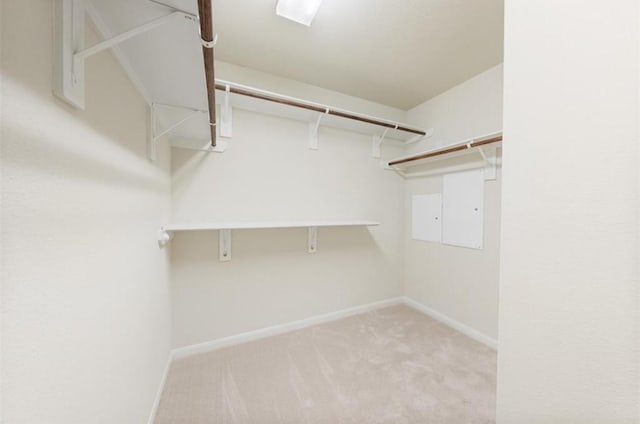 spacious closet featuring light carpet