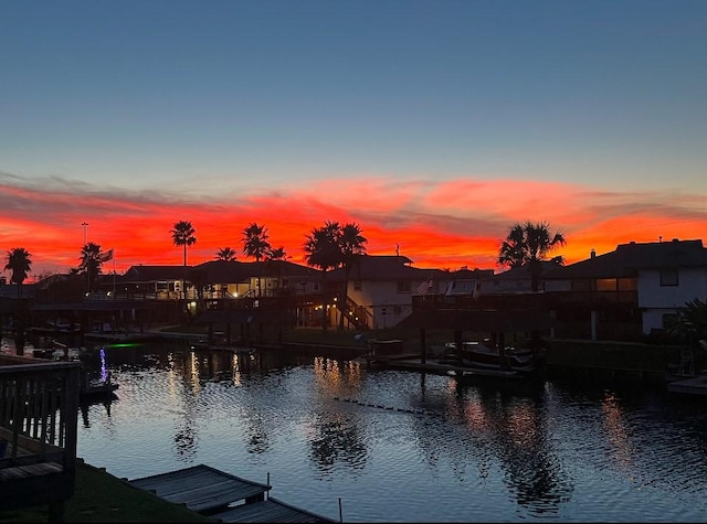 water view featuring a boat dock