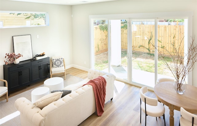 living room featuring light wood-type flooring and a healthy amount of sunlight