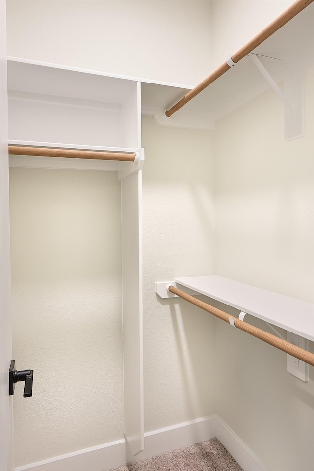 walk in closet featuring carpet flooring