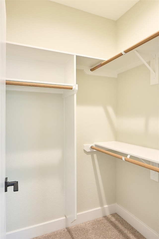 spacious closet with carpet flooring