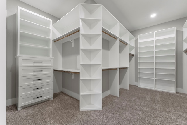 walk in closet with light carpet