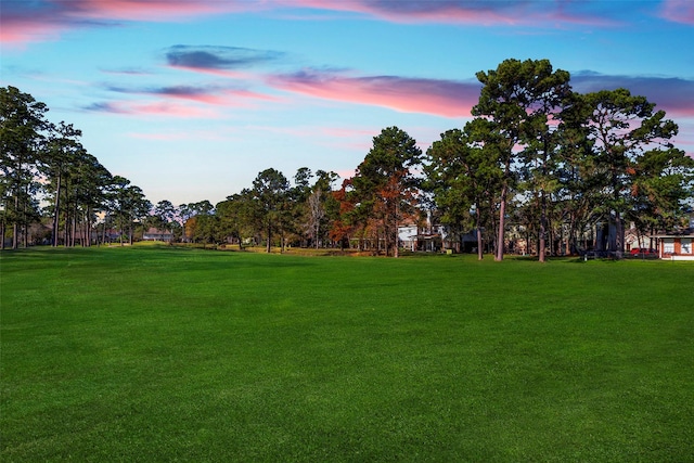 view of yard at dusk