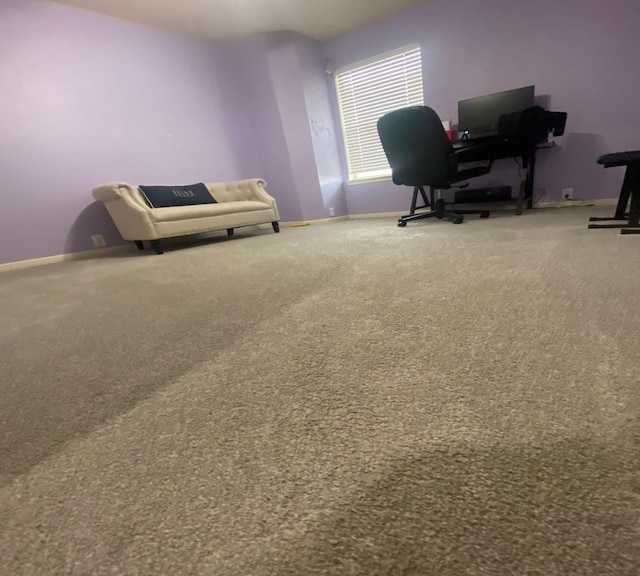 home office featuring carpet floors