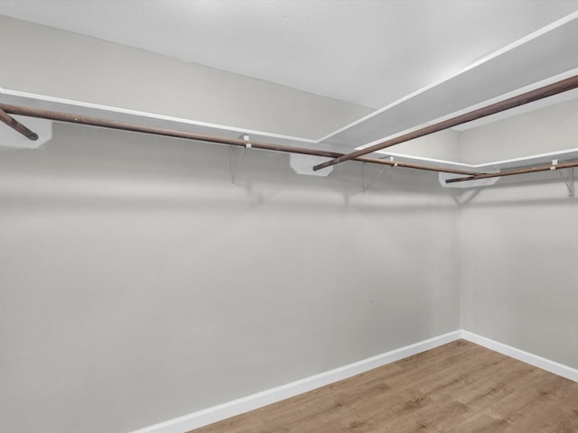 walk in closet featuring hardwood / wood-style flooring