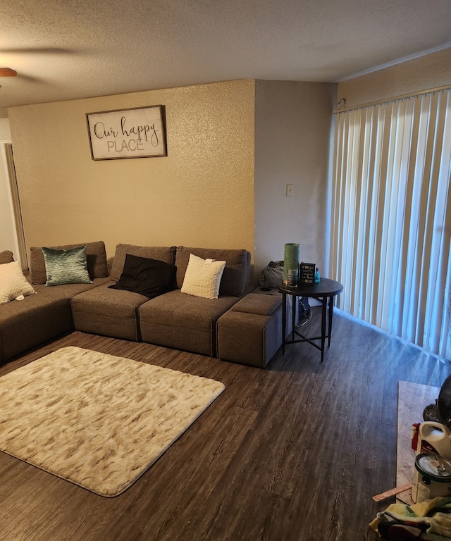 living room featuring dark wood-type flooring and a textured ceiling