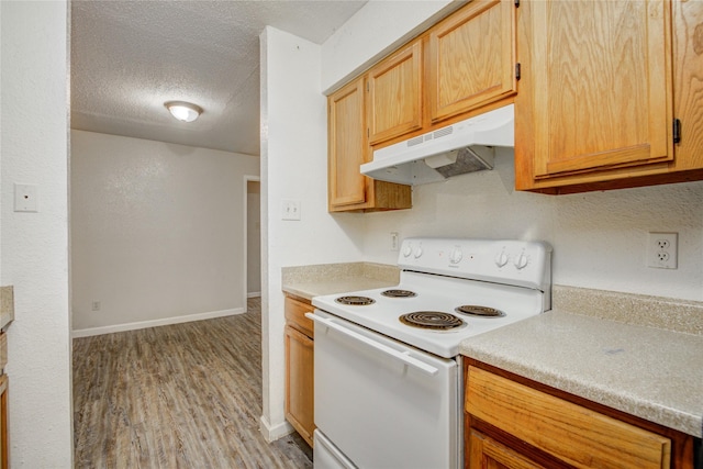 9797 Leawood Blvd Unit 903, Houston, TX 77099 - kitchen with white electric range oven, under cabinet range hood, light wood-style floors, light countertops, and a textured ceiling