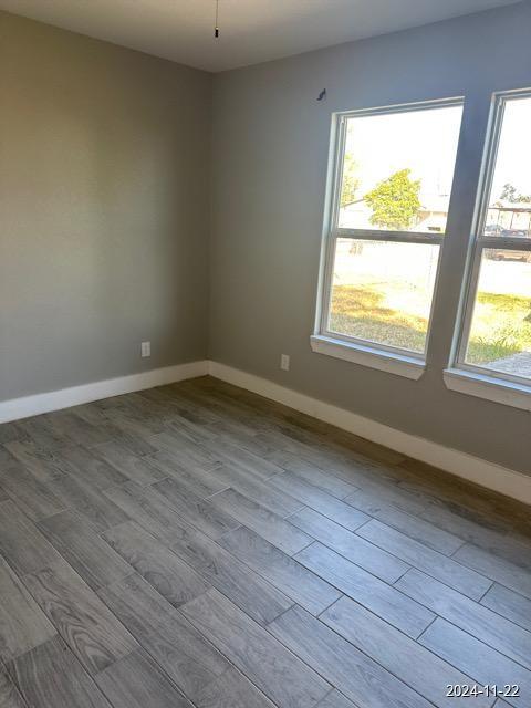 empty room with a wealth of natural light and light hardwood / wood-style flooring