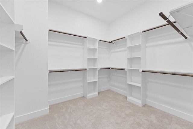 walk in closet featuring light carpet