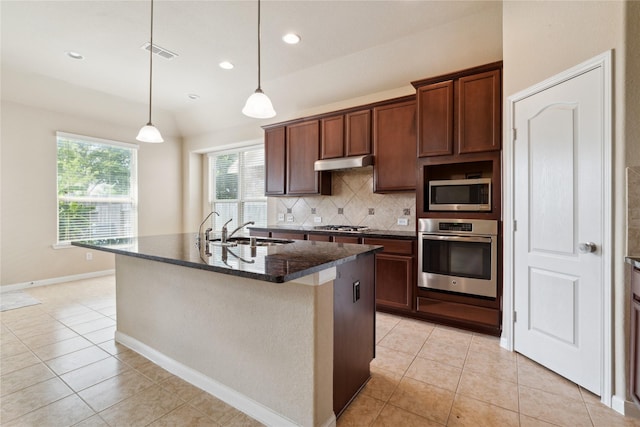 kitchen with sink, an island with sink, and stainless steel appliances