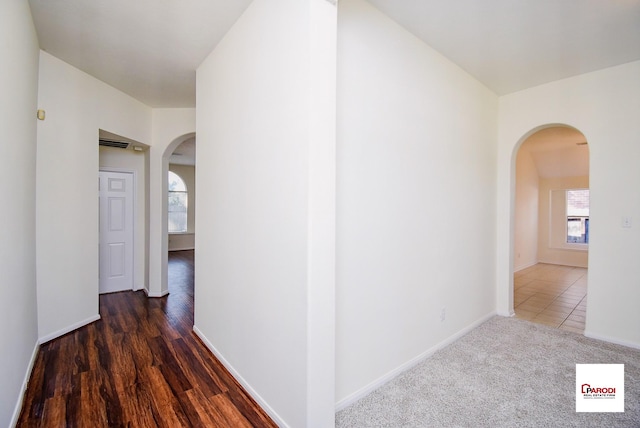 corridor featuring a wealth of natural light and dark hardwood / wood-style flooring