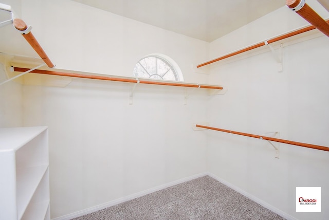 walk in closet with carpet flooring