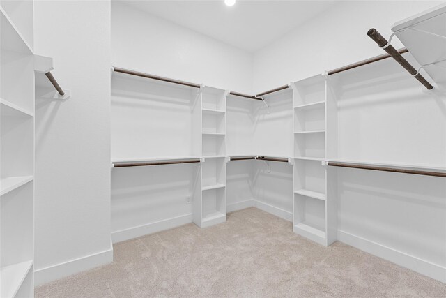 spacious closet with light carpet