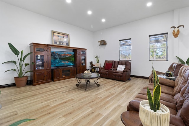 living room with light hardwood / wood-style floors