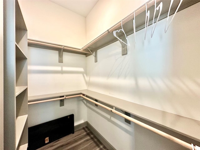 spacious closet featuring dark hardwood / wood-style floors