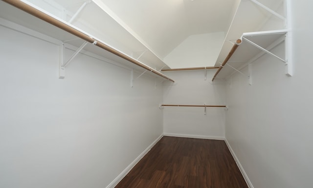 walk in closet featuring dark hardwood / wood-style flooring