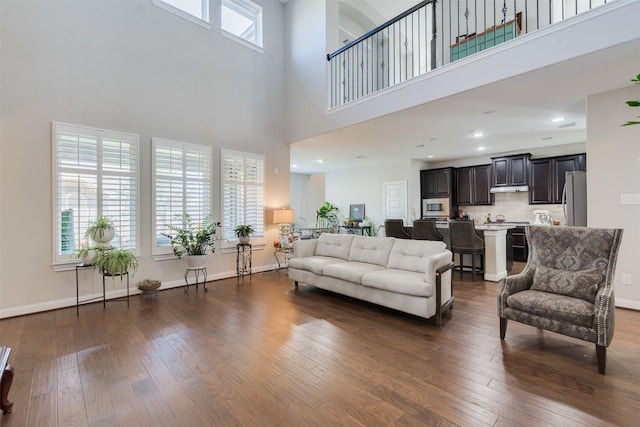 living room featuring dark hardwood / wood-style floors and a towering ceiling