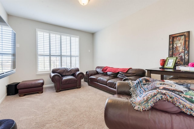 living room with carpet