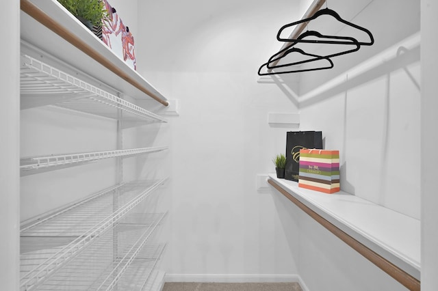 spacious closet featuring carpet floors