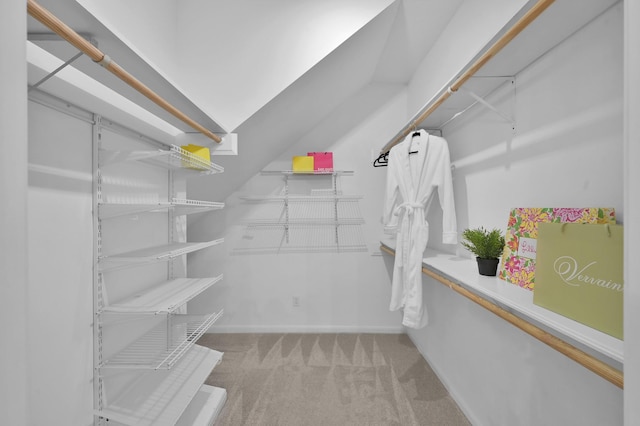 walk in closet with carpet floors