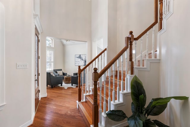 foyer with light hardwood / wood-style floors and a high ceiling