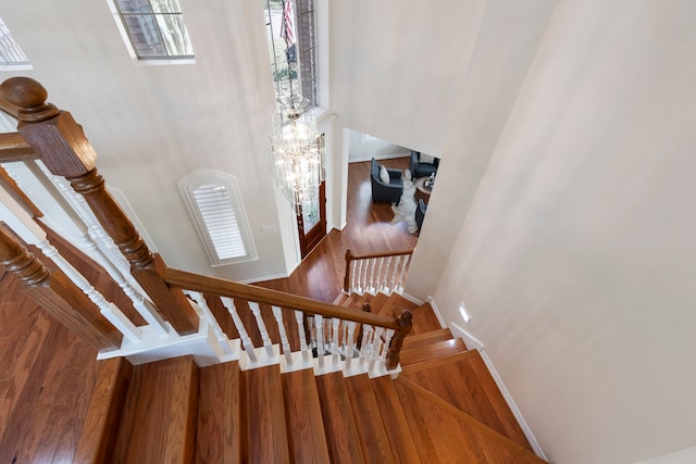 staircase with wood-type flooring