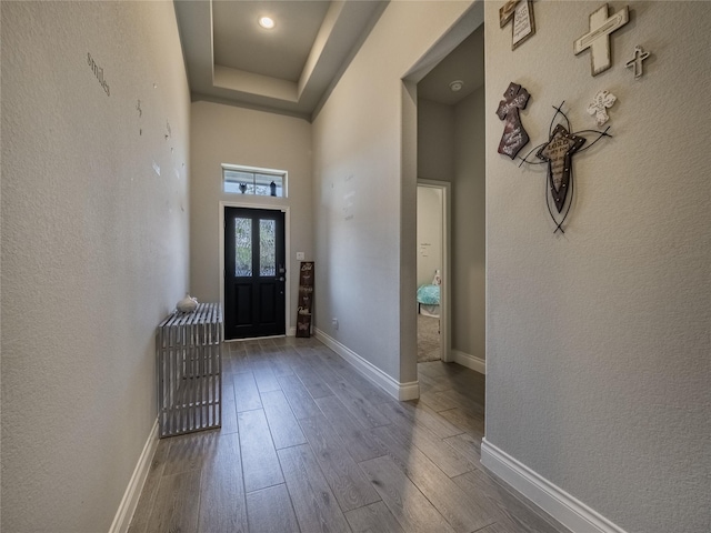 entrance foyer with wood-type flooring and a high ceiling