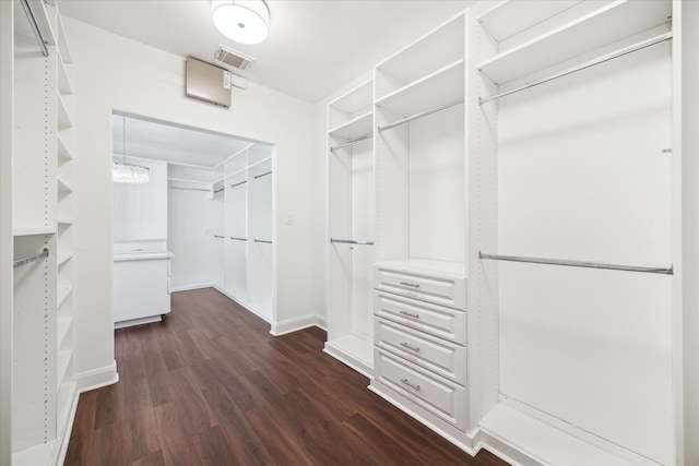 walk in closet featuring dark hardwood / wood-style flooring