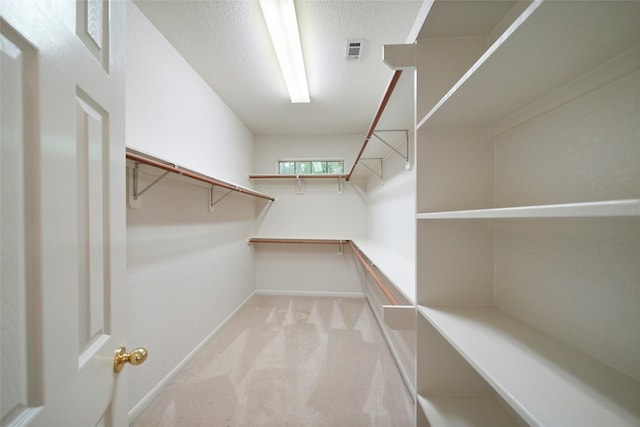 spacious closet with light colored carpet