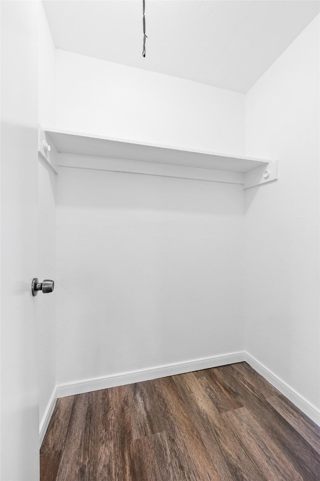 walk in closet featuring hardwood / wood-style flooring