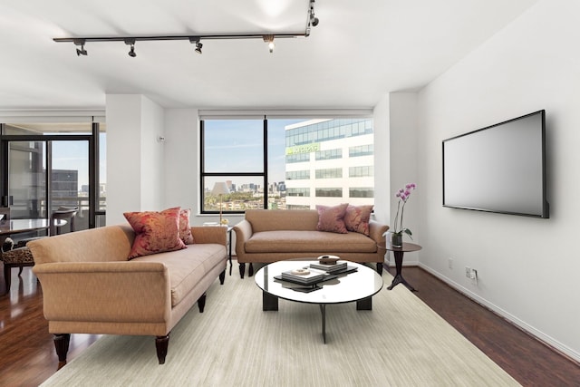 living room featuring hardwood / wood-style flooring and track lighting