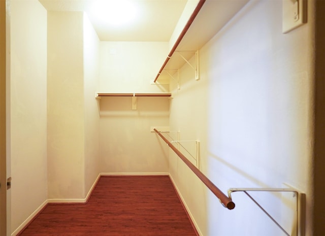 walk in closet featuring dark hardwood / wood-style floors