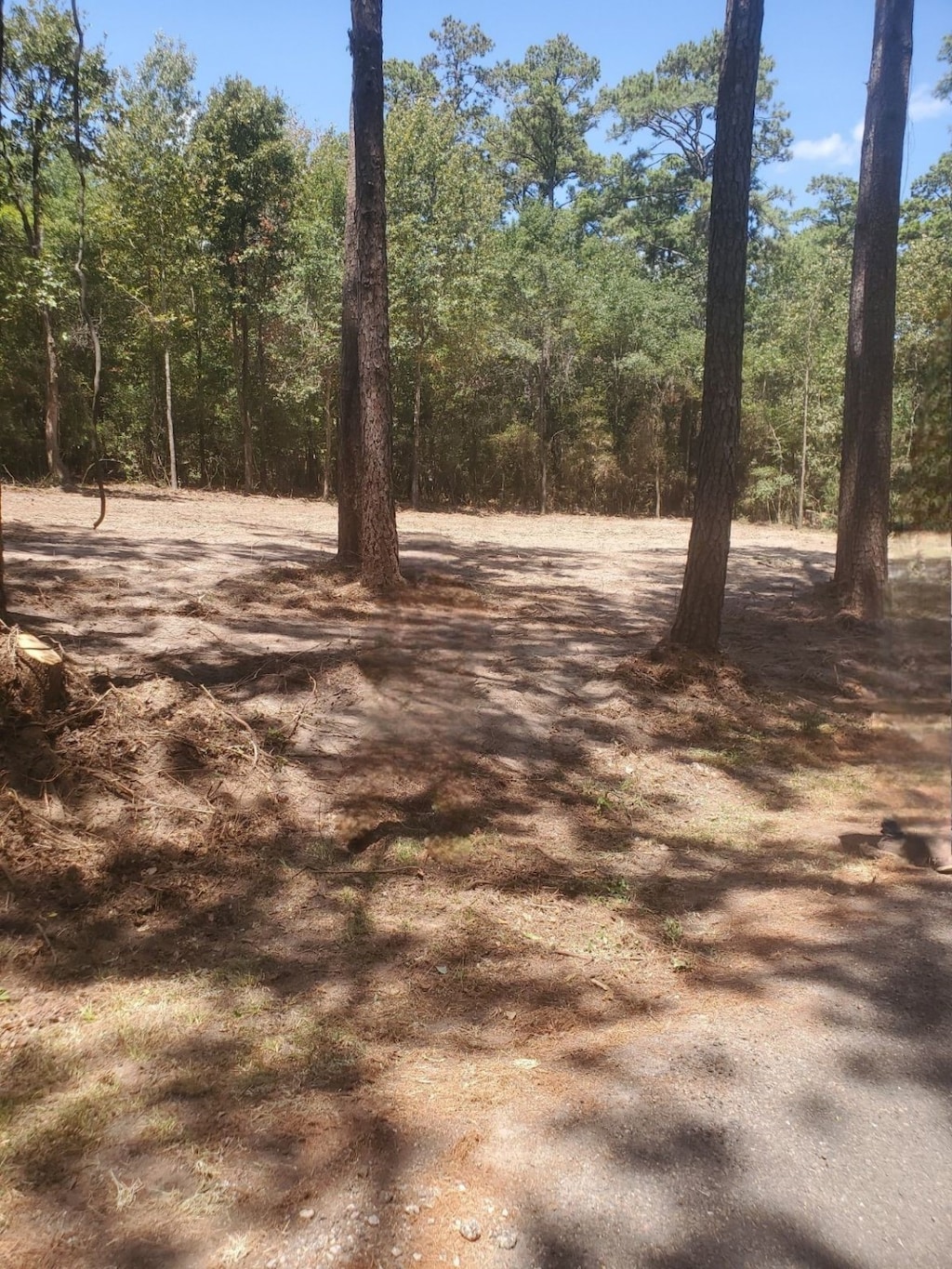0 Rals Dr, Onalaska, TX 77360 - photo 4