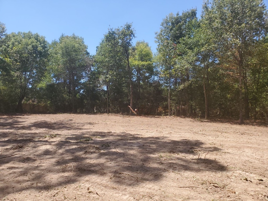 0 Rals Dr, Onalaska, TX 77360 - photo 2