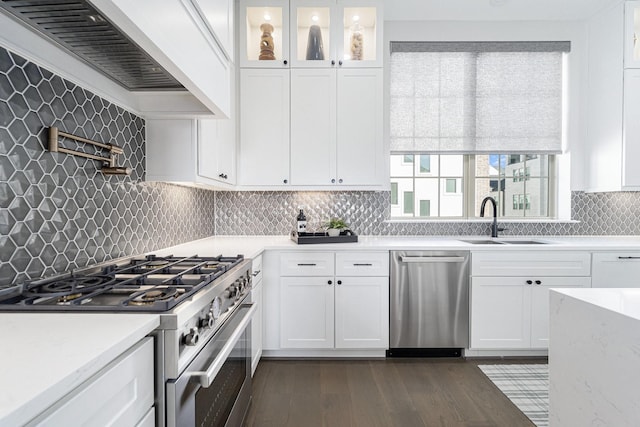 kitchen featuring white cabinets, appliances with stainless steel finishes, tasteful backsplash, and custom range hood