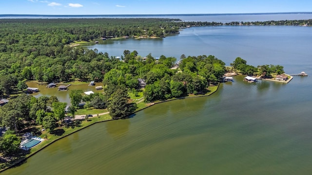 bird's eye view featuring a wooded view and a water view
