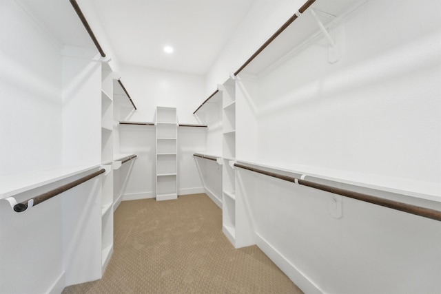 walk in closet featuring light colored carpet